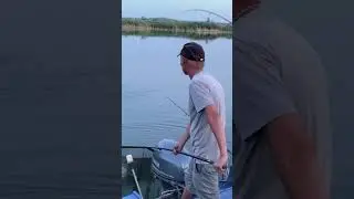Рыбалка на карпа и амура #рыбалка #озеро #fishing #отдых #карп #платнаярыбалка #рыба #carp