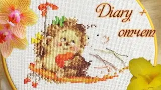 ☼Diary☼ Cross Stitch - report