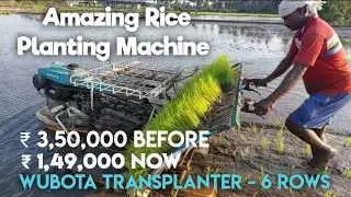 Amazing Rice Planting Machine / Brand - Wubota Transplanter - 6 Rows in a Pass