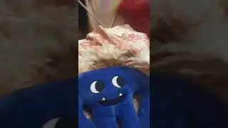 Банбан, стингер флинн и капитан фиддлс