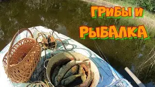 И грибы и рыбалка! Карелия, Онего.