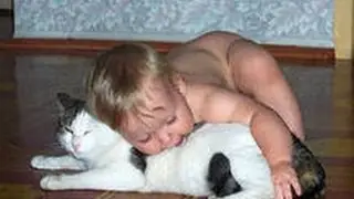 Кошка в отрубе! Прикол! Смех