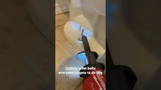 Cutting Toilet Bolts