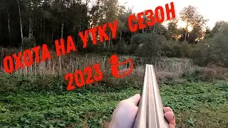 ОХОТА НА УТКУ СЕЗОН 2023🦆🦆🦆И подкармливаю лису🦊