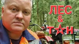 В лес, по "грибы".На мотоблоке, мотор сич. 21.06.22г.