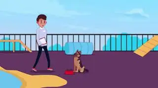 BuzzFlick | Explainer Video | K9 Cabana Dog Resort And Training Center