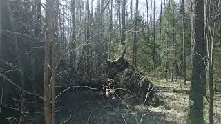 Поиск кладов и монет. День крестов!