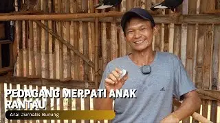 Pedagang Merpati Anak Rantau