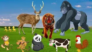 ANIMAL PARADISE - GORILLA, TIGER, DEER, CHICKEN, MONKEY, PANDA, JAGUAR, COW..