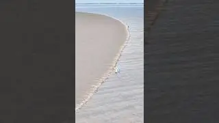 Wave crossing superposition 