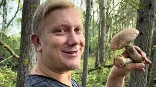 Грибные новости 27 августа ! Грибы 2024 !