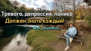 Нейрофизиология тревоги, депрессии и паники. Лечение тревожных расстройств
