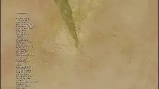 PRIMEIRA VITÓRIA SOLO WARZONE