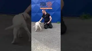 United Hatzalah’s Psychotrauma Dog K9 Unit Has Begun!
