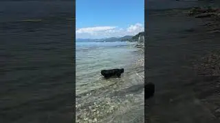 Балу на фоне скалы Киселева