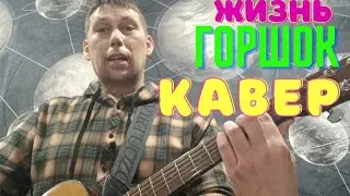 Горшок. жизнь. Кавер. Разбор