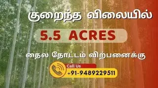 5.5 Acres Eucalyptus Farm Land, Venbavur, Perambalur. Prime Land for Sale! 🌿 