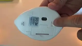 SHARE SUNSHINE 2.4GHz Wireless Mouse Cute Hamster Shape Less Noice Portable Mobile Optical 1200DPI U
