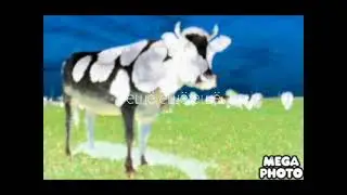 Karto4ki Domana 01 Часть 1