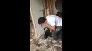 videos de risa, ariete humano