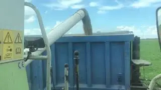 Cleaning 2020. Mega 208