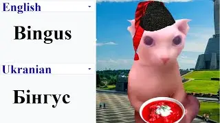 Bingus cat in different languages meme (PART 2)