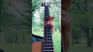 pandora