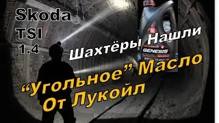 Skoda: Тест Угольного Масла 5w40 vw502 9000 km (2023)