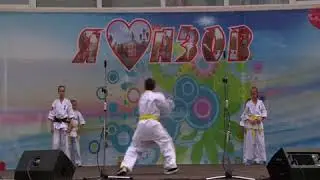 котята 12