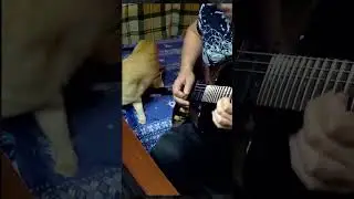 Что я сочинял на Fernandes FGZ-420?