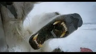 NEAR DEATH CAPTURED by GoPro and camera #3
