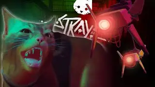 WE WENT TO ROBO JAIL... | Stray