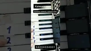 Самая лëгкая песня на АККОРДЕОНЕ) 