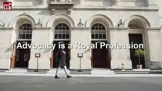 Top 7 opportunities after Law degree
