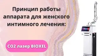 CO2 лазер Bioxel. Принцип работы аппарата для женского интимного лечения.