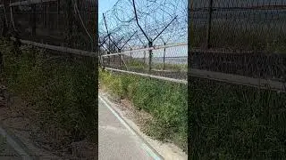 38ую параллель принёс покушать