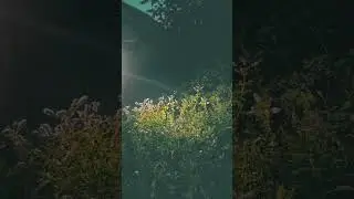 краш тест нового фонаря или вечер в станице