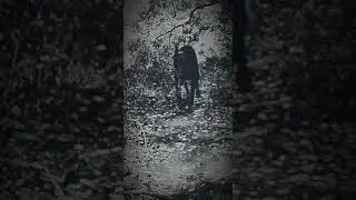 ℍ𝕖𝕝𝕝𝕠🔪🩸