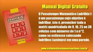 Manual Digital Passatempo Matemático Ladrilhix