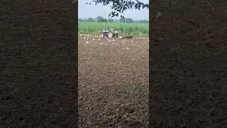 ye hai nature ka asli kamal