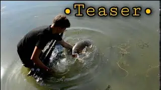 TEASER *Road trip été 2020*