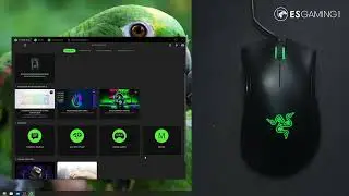 Introducing the Razer DeathAdder Essential Ergonomic Wired Budget Gaming Mouse