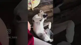 Прощай наш мальчик 😭