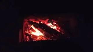 Нашли цветок папоротника