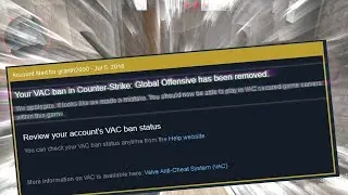 Counter Strike 2 Needs to fix this...