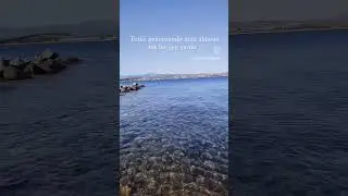 Bütün tatilde aklımızda tek düşünce; Patik 😍 #youtube #video #tiktok #subscribe #funny #cat #shorts