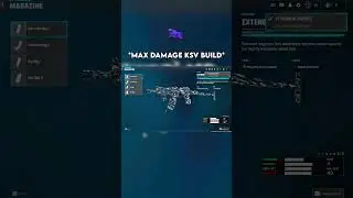 THE *MAX DAMAGE* KSV BUILD on WARZONE 👑 