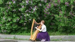 Ti ar boudiget (Harp cover)