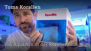 AquaWiz in the coral farm of Tom's Corals