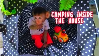camping inside the house , Lovely Fauna Youtube Channel